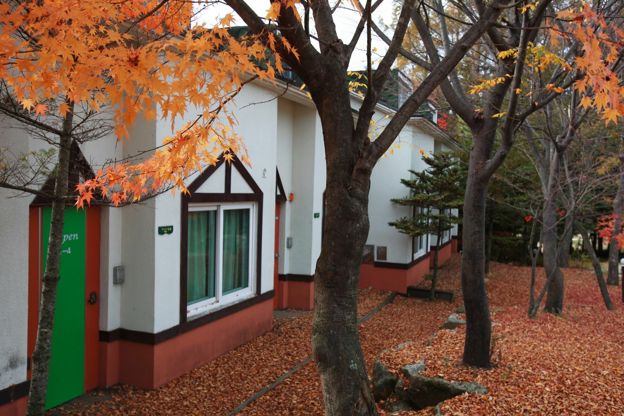 Pyeongchang Iris Pension Экстерьер фото